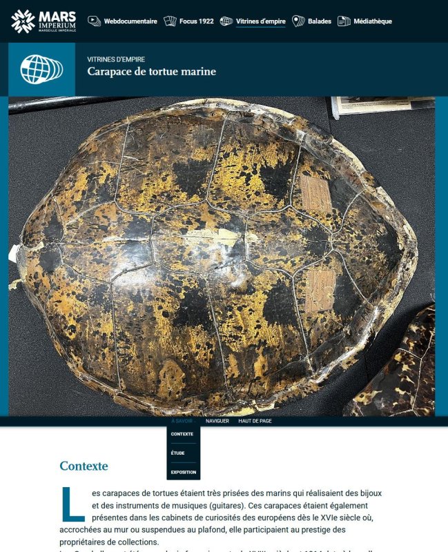 Capture d'écran d'une page d'objet sur la plateforme Vitrines d'empire de Mars Imperium